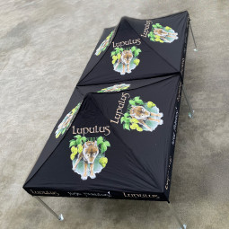 Bedrukking op Polyester Dak 3x3m compleet